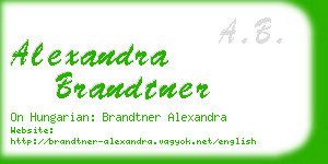 alexandra brandtner business card